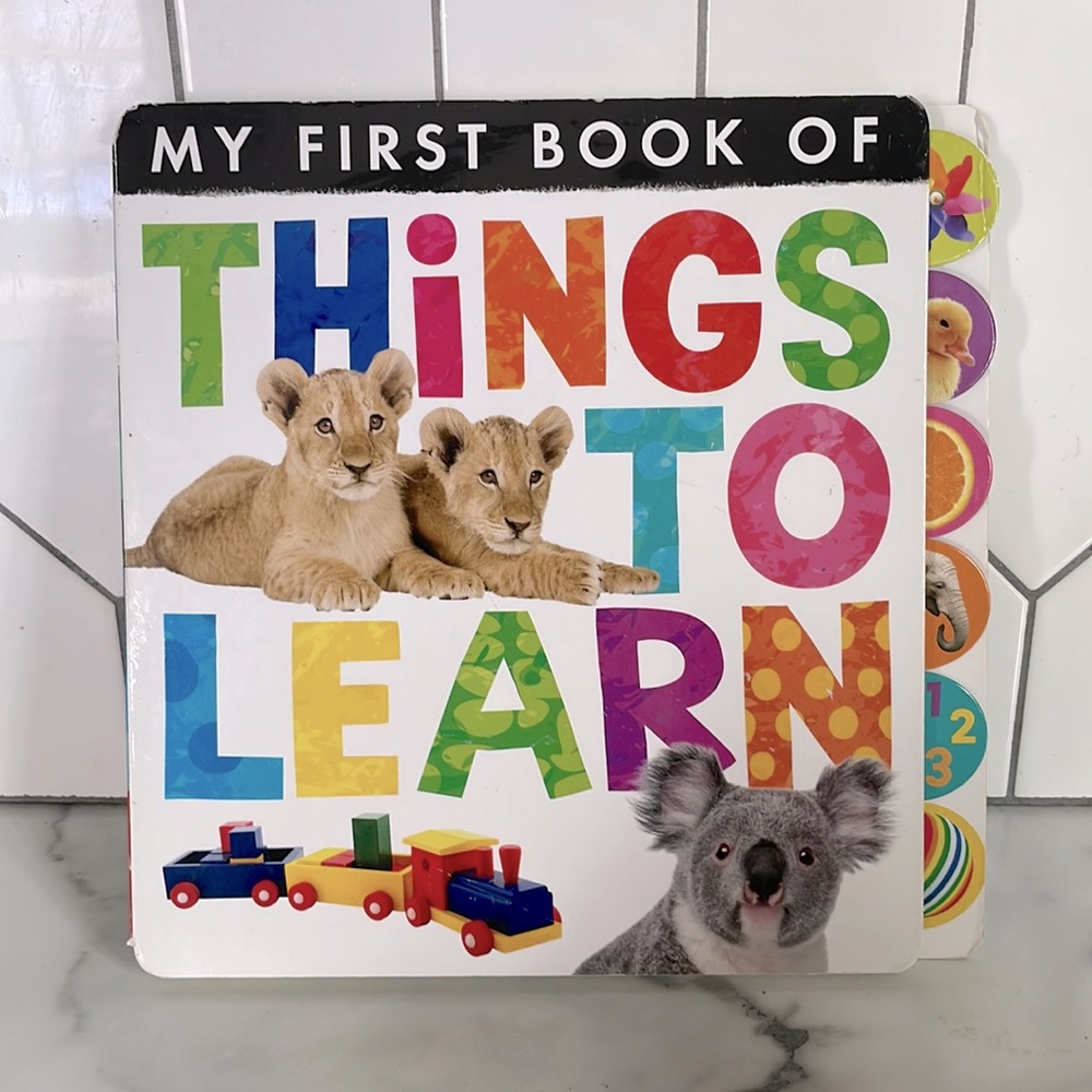 ”My First Book of Things To Learn” Tiger Tales Board Book